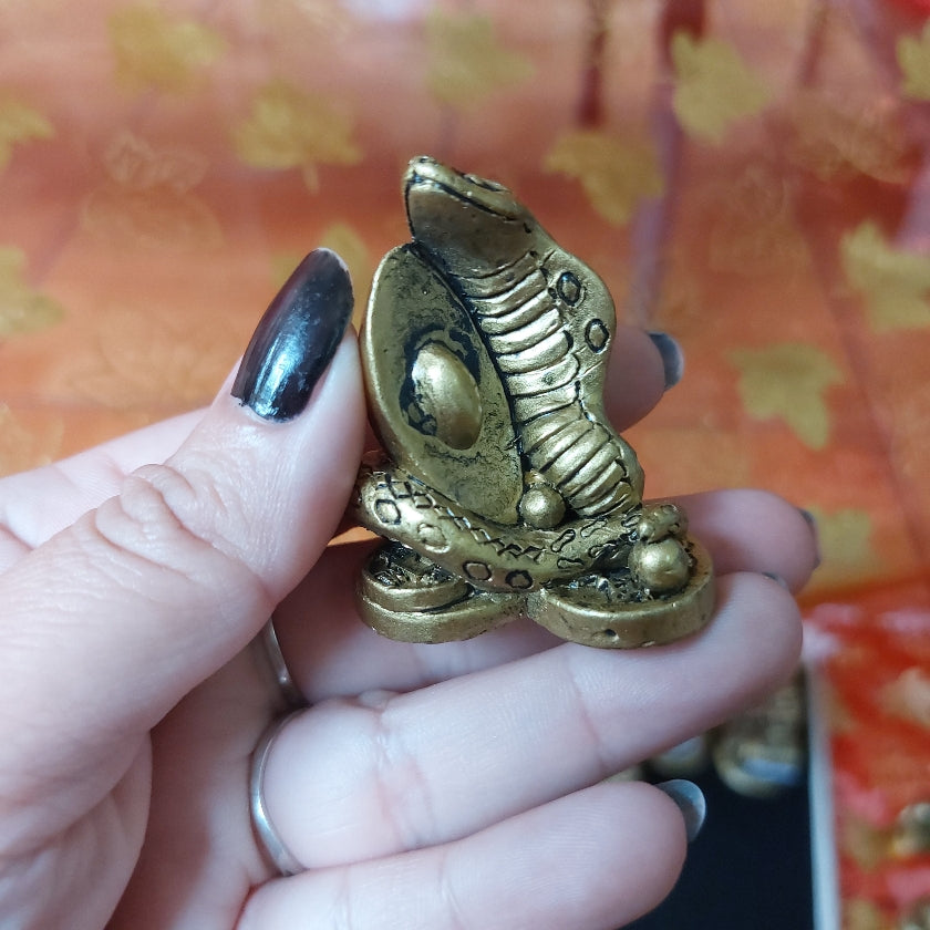Serpiente pequeña