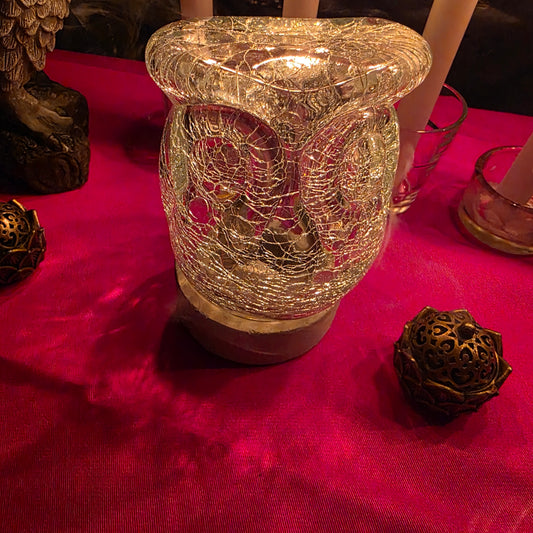 Proteccion para los niños