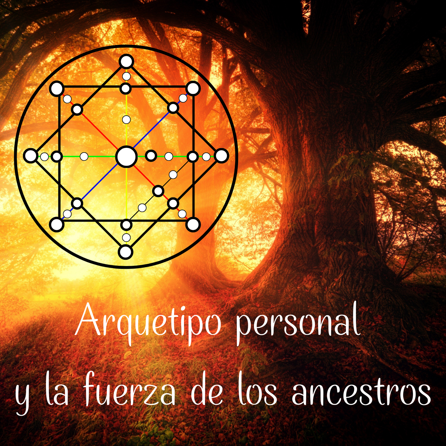 Arquetipo personal y fuerza de los ancestros