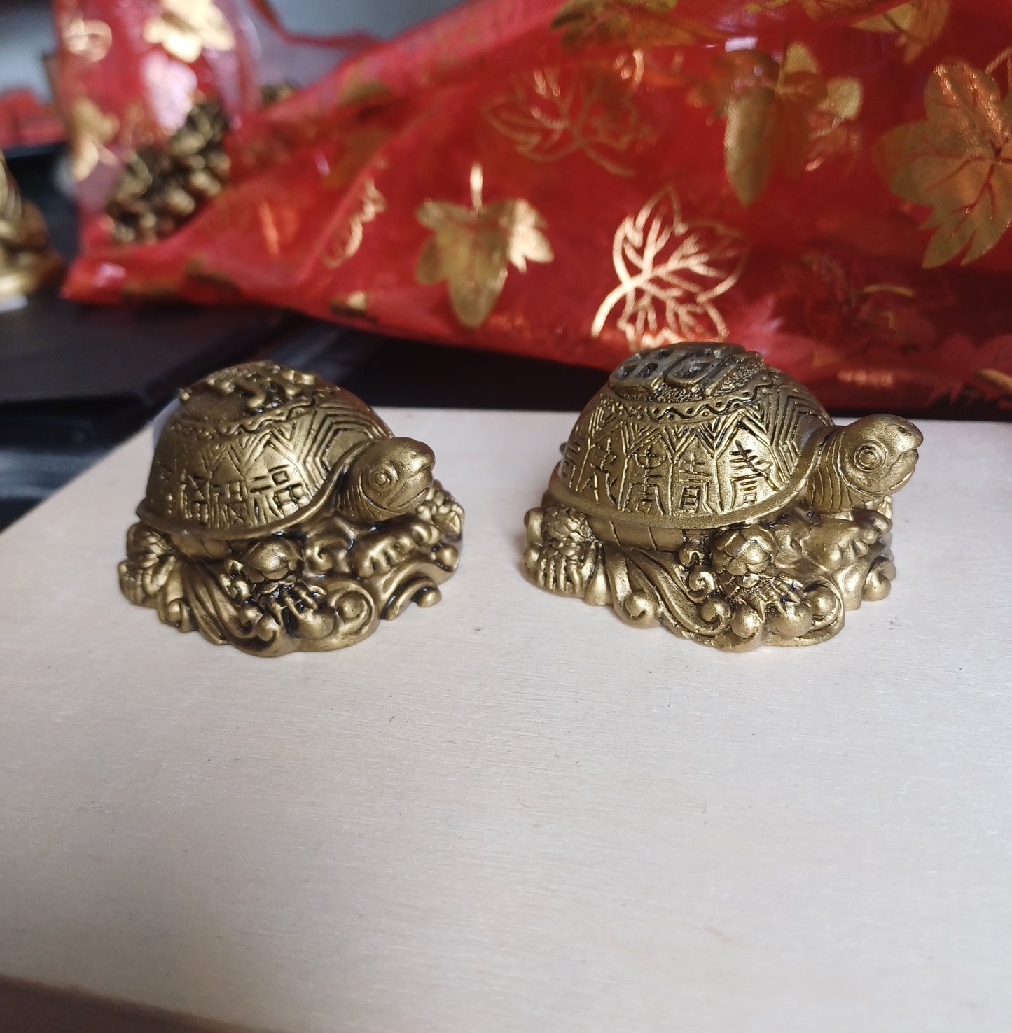Set de Tortugas