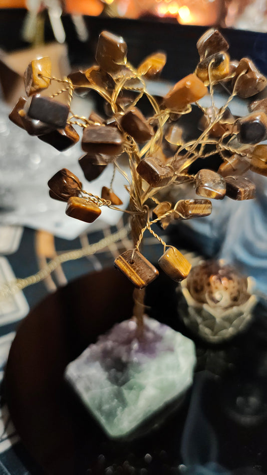 Arbol decorativo Ojo de Tigre